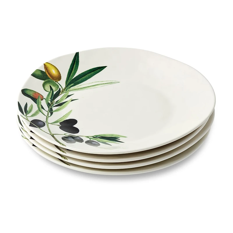 Certified International Oliva 4-pc. Stoneware Dinner Plate