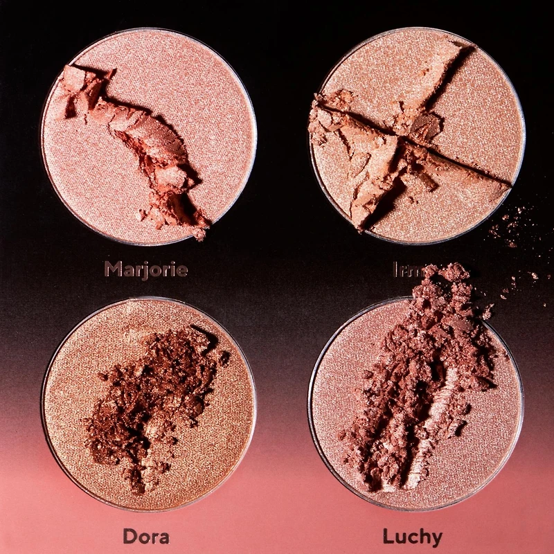 Shades By Shan The Highlight Palette
