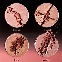 Shades By Shan The Highlight Palette