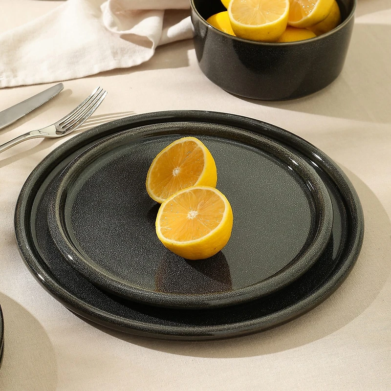 Stone + Lain Eden 4-pc. Stoneware Dinner Plate