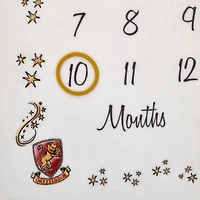 Warner Bros Harry Potter Baby Milestone Blanket