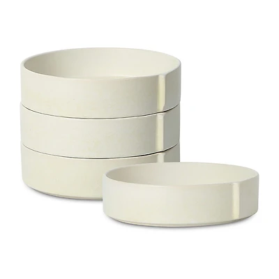 Stone + Lain Bao 4-pc. Stoneware Pasta Bowl