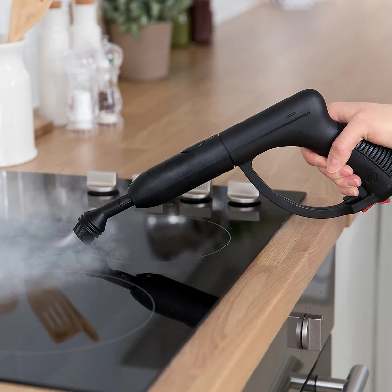 Ewbank Steam Dynamo With Cleaning Tools