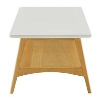 Madison Park Avalon Living Room Collection Storage Coffee Table