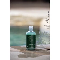 Paul Mitchell Tea Tree Shampoo 33.8 oz.