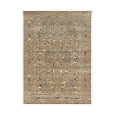 Radici Colosseo Danelle Traditional Oriental Vintage Accent Rug