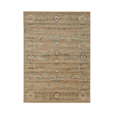 Radici Colosseo Bethany Traditional Oriental Vintage Area Rug