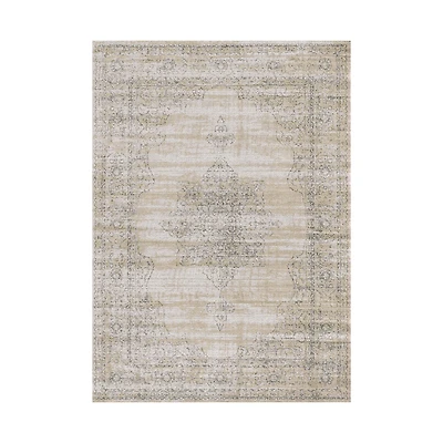 Radici Colosseo Traditional Vintage Distressed 39"X60" Indoor Rectangular Accent Rug