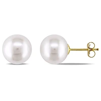 White Cultured Freshwater Pearl 14K Yellow Gold Stud Earrings 