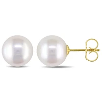 White Cultured Freshwater Pearl 14K Yellow Gold Stud Earrings 