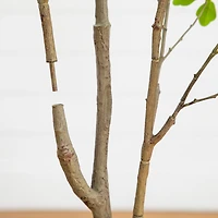 Nearly Natural 5ft Dogwood Indoor Artificial Tree