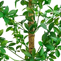 Nearly Natural 4ft Shady Lady Black Olive Indoor Artificial Tree