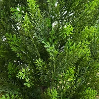 Nearly Natural 45" Cedar White Tower Indoor Outdoor Artificial Tree