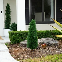 Nearly Natural 2-pc. 4ft Cedar Integrated Ground Stake Artificial Plant
