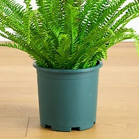 Nearly Natural 27" Boston Fern Artificial Plant