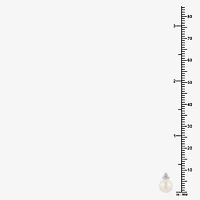 Limited Quantities! Champagne Cultured Freshwater Pearl Sterling Silver 12mm Stud Earrings