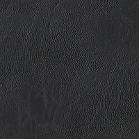 Homewear Morgan Faux Leather Placemat
