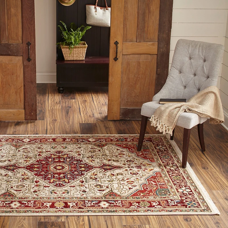 Momeni Lenox 2 Medallion Indoor Rectangular Accent Rug