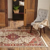 Momeni Lenox 2 Medallion Indoor Rectangular Accent Rug