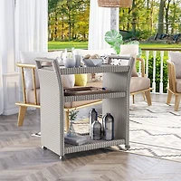 Furniture of America™ Polonsky Contemporary Serving Cart