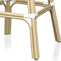 Furniture of America™ Redbonne 2-pc. Bar Stool