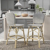 Furniture of America™ Redbonne 2-pc. Bar Stool