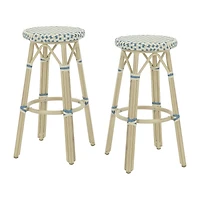Furniture of America™ Altaview 2-pc. Bar Stool