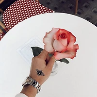 Inked By Dani Tattoo Kit