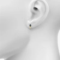 Womens Genuine Black Onyx 10K Gold Sterling Silver 16mm Oval Hoop Earrings