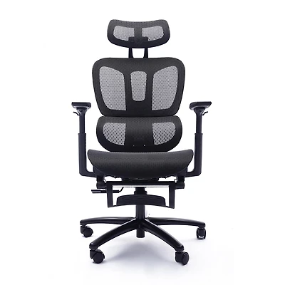 Sealy® Hxley Ergonomic Design Adjustable Height Office Chair