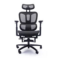 Sealy® Hxley Ergonomic Design Adjustable Height Office Chair