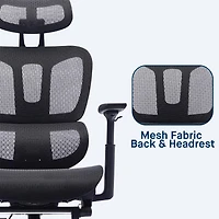 Sealy® Hxley Ergonomic Design Adjustable Height Office Chair