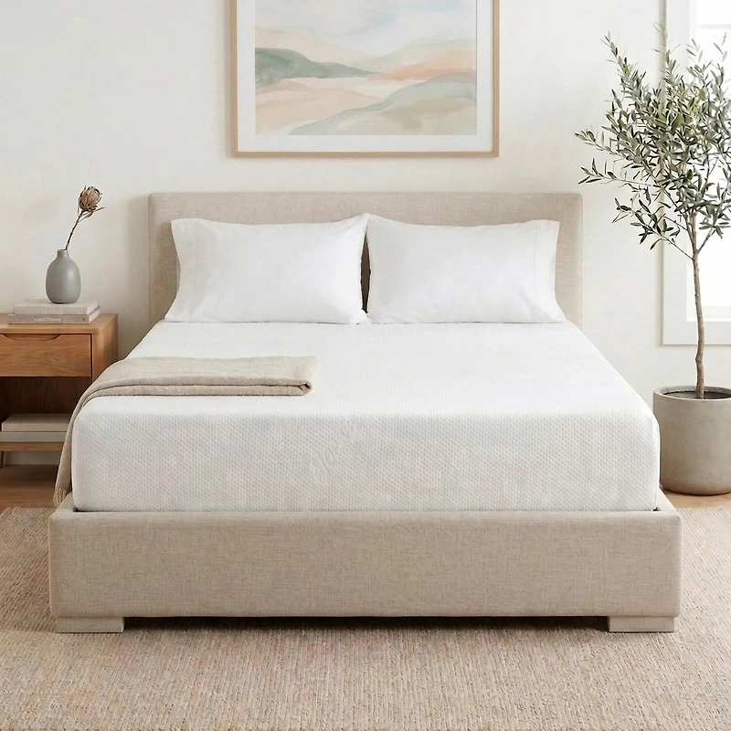Primo Divine 8" Medium/Firm Gel Memory Foam Tight Top - Mattress a Box