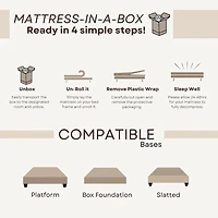 Primo Divine 8" Medium/Firm Gel Memory Foam Tight Top - Mattress a Box