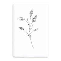 Floral Sketch II Giclee Canvas Art