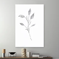 Floral Sketch II Giclee Canvas Art