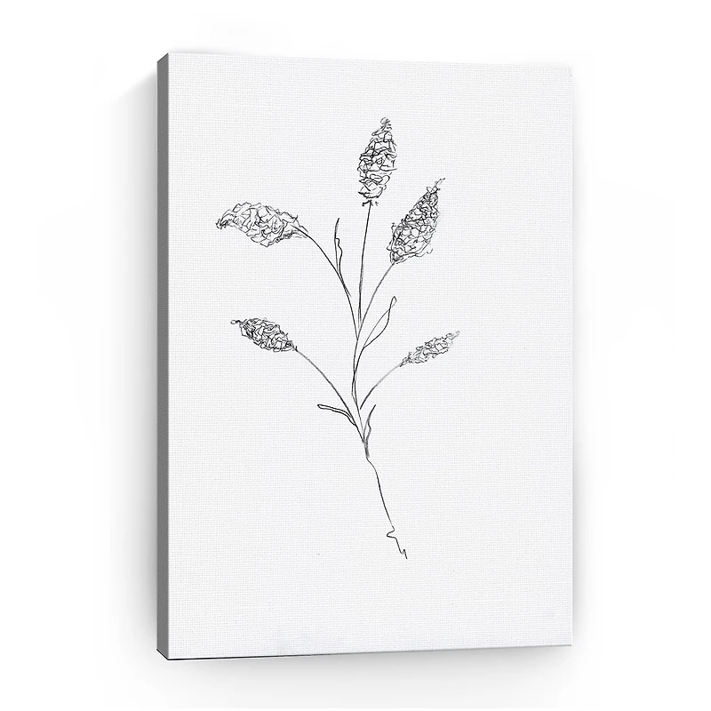 Floral Sketch II Giclee Canvas Art