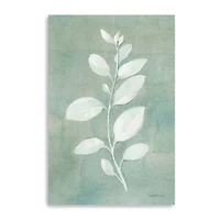 Sage Leaves II Giclee Canvas Art
