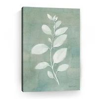 Sage Leaves II Giclee Canvas Art