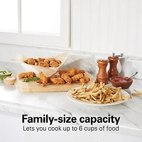Hamilton Beach Professional 8 Cup Deep Fryer