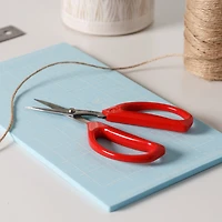 Joyce Chen Kitchen Shears