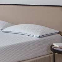 La-Z-Boy Serene Foam Density Pillow Traditional/ Soft-Medium, Queen