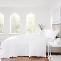Queen Street Elegance Light Warmth White Down Comforter