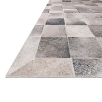 Loloi Maddox Animal Indoor Rectangular Accent Rug