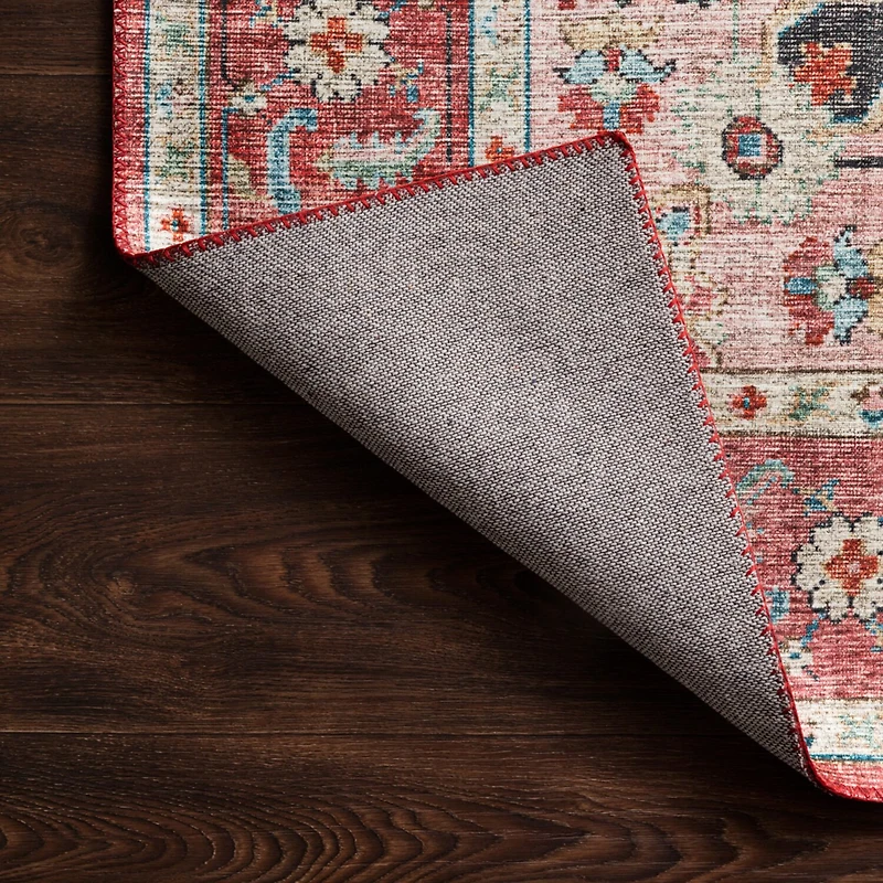 Loloi Skye Indoor Rectangular Accent Rug