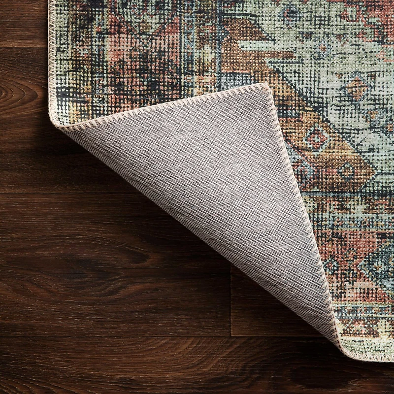 Loloi Skye Indoor Rectangular Accent Rug