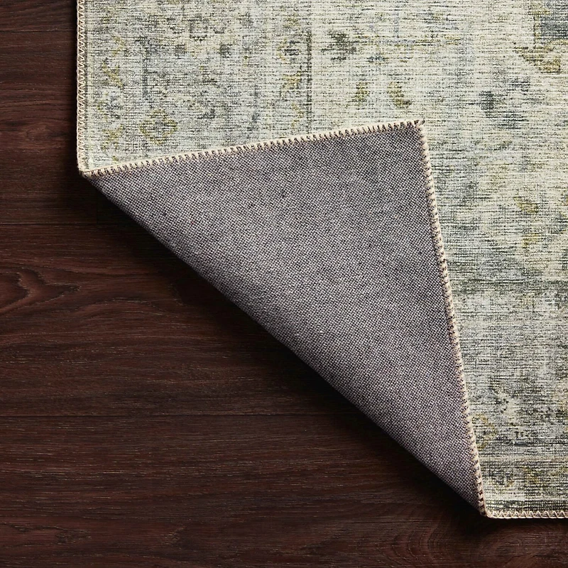 Loloi Skye Indoor Rectangular Accent Rug