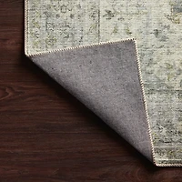 Loloi Skye Indoor Rectangular Accent Rug