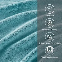 Madison Park Signature 800gsm 2-pc. Bath Sheet
