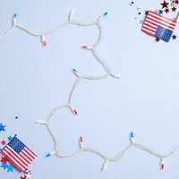 Northlight 15.5ft Led Mini String Lights